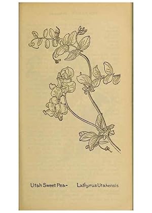 Seller image for Reproduccin/Reproduction 46127854054: Field book of western wild flowers /. New York :Putnam,1915. for sale by EL BOLETIN