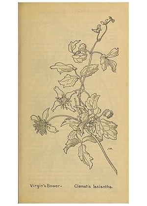 Seller image for Reproduccin/Reproduction 46800788252: Field book of western wild flowers /. New York :Putnam,1915. for sale by EL BOLETIN