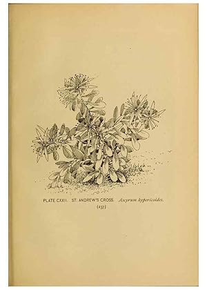 Immagine del venditore per Reproduccin/Reproduction 46852815891: A guide to the wild flowers. New York,F. A. Stokes[1899]. venduto da EL BOLETIN