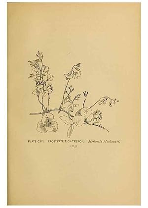 Immagine del venditore per Reproduccin/Reproduction 31911528667: A guide to the wild flowers. New York,F. A. Stokes[1899]. venduto da EL BOLETIN