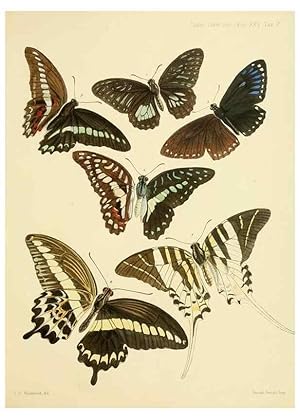 Imagen del vendedor de Reproduccin/Reproduction 35023971564: On the phenomena of variation and geographical distribution as illustrated by the Papilionidae of the Malayan region. London,1865 a la venta por EL BOLETIN