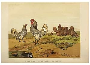 Imagen del vendedor de Reproduccin/Reproduction 36901001326: The poultry book :. London ;G. Routledge,1867. a la venta por EL BOLETIN