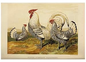 Imagen del vendedor de Reproduccin/Reproduction 36276188043: The poultry book :. London ;G. Routledge,1867. a la venta por EL BOLETIN