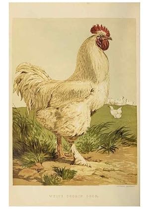 Imagen del vendedor de Reproduccin/Reproduction 37089416785: The poultry book :. London ;G. Routledge,1867. a la venta por EL BOLETIN