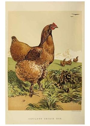 Imagen del vendedor de Reproduccin/Reproduction 37089413005: The poultry book :. London ;G. Routledge,1867. a la venta por EL BOLETIN