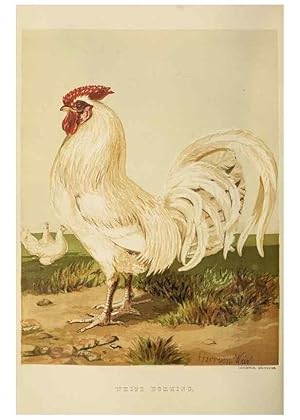 Imagen del vendedor de Reproduccin/Reproduction 36276165223: The poultry book :. London ;G. Routledge,1867. a la venta por EL BOLETIN