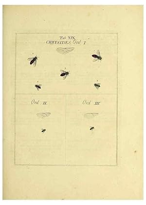 Bild des Verkufers fr Reproduccin/Reproduction 36236194951: Exposition des insectes que se trouvent en Angleterre;. Londres,B. White et J. Edwards,1786. zum Verkauf von EL BOLETIN