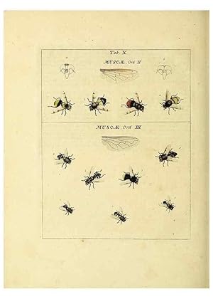 Bild des Verkufers fr Reproduccin/Reproduction 35537066374: Exposition des insectes que se trouvent en Angleterre;. Londres,B. White et J. Edwards,1786. zum Verkauf von EL BOLETIN