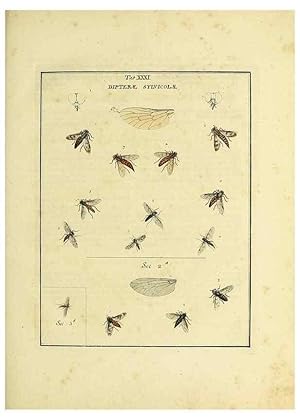 Bild des Verkufers fr Reproduccin/Reproduction 35537101564: Exposition des insectes que se trouvent en Angleterre;. Londres,B. White et J. Edwards,1786. zum Verkauf von EL BOLETIN