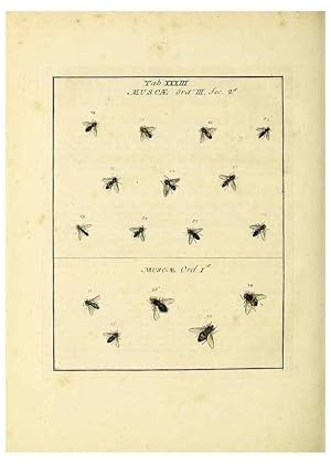 Bild des Verkufers fr Reproduccin/Reproduction 35537104734: Exposition des insectes que se trouvent en Angleterre;. Londres,B. White et J. Edwards,1786. zum Verkauf von EL BOLETIN