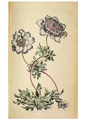 Image du vendeur pour Reproduccin/Reproduction 36478662120: Exotic botany illustrated :. London :Printed for the author,1772. mis en vente par EL BOLETIN