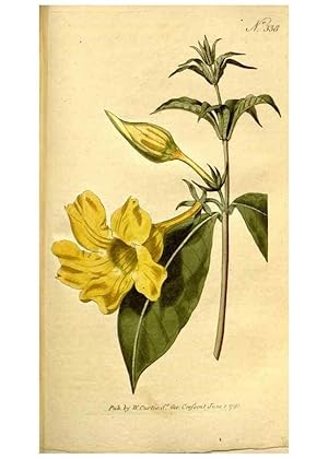 Seller image for Reproduccin/Reproduction 34781980300: The Botanical magazine, or, Flower-garden displayed . /. [S.l. :s.n.],1790-1800 ; for sale by EL BOLETIN