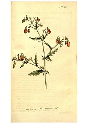 Immagine del venditore per Reproduccin/Reproduction 34323560424: The Botanical magazine, or, Flower-garden displayed . /. [S.l. :s.n.],1790-1800 ; venduto da EL BOLETIN