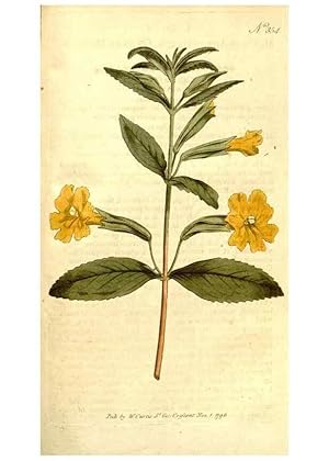 Immagine del venditore per Reproduccin/Reproduction 34782001560: The Botanical magazine, or, Flower-garden displayed . /. [S.l. :s.n.],1790-1800 ; venduto da EL BOLETIN