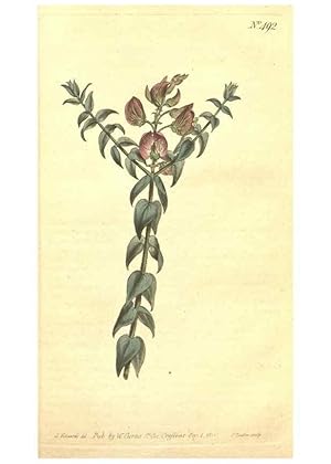 Seller image for Reproduccin/Reproduction 35169259665: The Botanical magazine, or, Flower-garden displayed . /. [S.l. :s.n.],1790-1800 ; for sale by EL BOLETIN