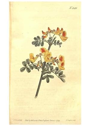 Seller image for Reproduccin/Reproduction 34324124644: The Botanical magazine, or, Flower-garden displayed . /. [S.l. :s.n.],1790-1800 ; for sale by EL BOLETIN