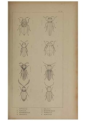 Seller image for Reproduccin/Reproduction 24539109292: The British Coleoptera delineated,. London,W. Crofts,1840. for sale by EL BOLETIN