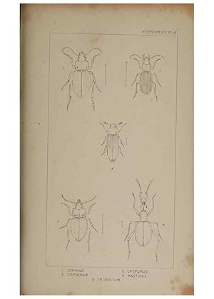 Seller image for Reproduccin/Reproduction 24352103180: The British Coleoptera delineated,. London,W. Crofts,1840. for sale by EL BOLETIN