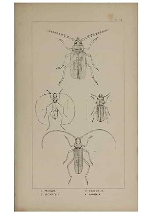 Seller image for Reproduccin/Reproduction 24539214272: The British Coleoptera delineated,. London,W. Crofts,1840. for sale by EL BOLETIN