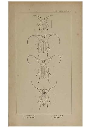 Seller image for Reproduccin/Reproduction 24539294782: The British Coleoptera delineated,. London,W. Crofts,1840. for sale by EL BOLETIN