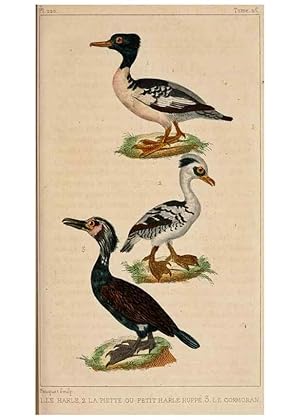 Image du vendeur pour Reproduccin/Reproduction 25415307941: Oeuvres compltes de Buffon,. Paris,F.D. Pillot,1830-32 [v. 1, 1831] mis en vente par EL BOLETIN