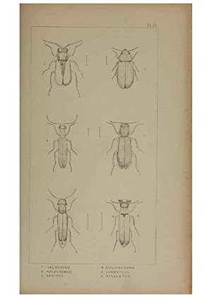 Seller image for Reproduccin/Reproduction 24019358334: The British Coleoptera delineated,. London,W. Crofts,1840. for sale by EL BOLETIN