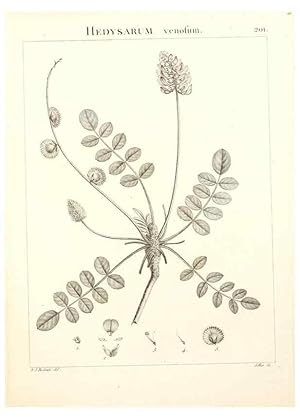 Imagen del vendedor de Reproduccin/Reproduction 9300992278: Flora Atlantica, sive, Historia plantarum quae in Atlante, agro Tunetano et Algeriensi crescunt /. Parisiis :Apud Blanchon,1800. a la venta por EL BOLETIN