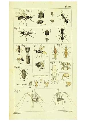 Imagen del vendedor de Reproduccin/Reproduction 9260120895: Histoire naturelle des fourmis,. Paris,De limpr. de Crapelet,1802. a la venta por EL BOLETIN