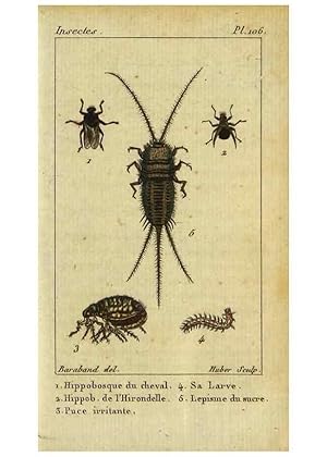 Imagen del vendedor de Reproduccin/Reproduction 9507277789: Histoire naturelle des insectes, compose?e dapre`s Re?amur, Geoffroy, Dege?er, Roesel, Linne?, Fabricius, et les meilleurs ouvrages qui ont paru sur cette partie;. Paris,Roret,1828. a la venta por EL BOLETIN