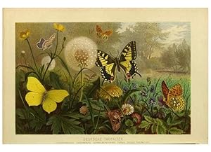 Imagen del vendedor de Reproduccin/Reproduction 9524152192: Die Insekten, Tausendfu?ssler und Spinnen. Leipzig,Bibliographische Institut,1877. a la venta por EL BOLETIN