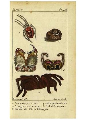 Imagen del vendedor de Reproduccin/Reproduction 9623158112: Histoire naturelle des insectes, compose?e dapre`s Re?amur, Geoffroy, Dege?er, Roesel, Linne?, Fabricius, et les meilleurs ouvrages qui ont paru sur cette partie;. Paris,Roret,1828. a la venta por EL BOLETIN