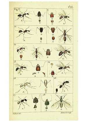 Imagen del vendedor de Reproduccin/Reproduction 9262887620: Histoire naturelle des fourmis,. Paris,De limpr. de Crapelet,1802. a la venta por EL BOLETIN