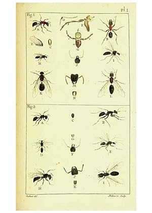 Imagen del vendedor de Reproduccin/Reproduction 9262884770: Histoire naturelle des fourmis,. Paris,De limpr. de Crapelet,1802. a la venta por EL BOLETIN