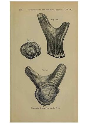 Bild des Verkufers fr Reproduccin/Reproduction 12683317403: The Quarterly journal of the Geological Society of London. London [etc.] zum Verkauf von EL BOLETIN