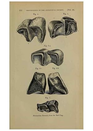 Bild des Verkufers fr Reproduccin/Reproduction 12683309743: The Quarterly journal of the Geological Society of London. London [etc.] zum Verkauf von EL BOLETIN