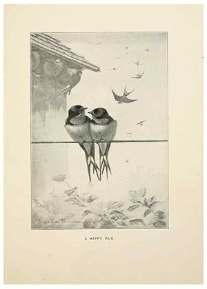 Seller image for Reproduccin/Reproduction 9094476166: Bird world :. Boston :Ginn,c1898. for sale by EL BOLETIN