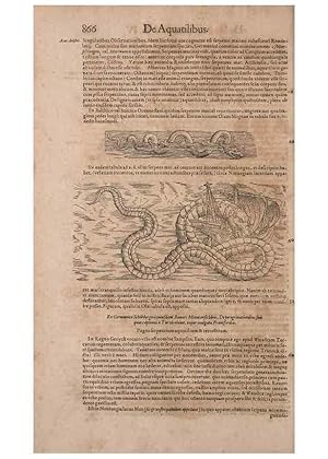 Seller image for Reproduccin/Reproduction 15545596106: Conradi Gesneri medici Tigurini Historiae animalium liber IV :. Francofurti :In Bibliopolio Andreae Cambieri,anno MDCIIII [1604] for sale by EL BOLETIN