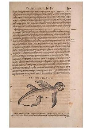 Seller image for Reproduccin/Reproduction 14949134183: Conradi Gesneri medici Tigurini Historiae animalium liber IV :. Francofurti :In Bibliopolio Andreae Cambieri,anno MDCIIII [1604] for sale by EL BOLETIN