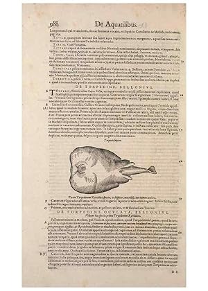 Image du vendeur pour Reproduccin/Reproduction 15383406057: Conradi Gesneri medici Tigurini Historiae animalium liber IV :. Francofurti :In Bibliopolio Andreae Cambieri,anno MDCIIII [1604] mis en vente par EL BOLETIN