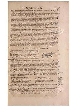 Seller image for Reproduccin/Reproduction 14948581414: Conradi Gesneri medici Tigurini Historiae animalium liber IV :. Francofurti :In Bibliopolio Andreae Cambieri,anno MDCIIII [1604] for sale by EL BOLETIN