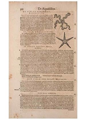 Seller image for Reproduccin/Reproduction 15383337927: Conradi Gesneri medici Tigurini Historiae animalium liber IV :. Francofurti :In Bibliopolio Andreae Cambieri,anno MDCIIII [1604] for sale by EL BOLETIN