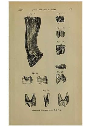 Immagine del venditore per Reproduccin/Reproduction 12683646654: The Quarterly journal of the Geological Society of London. London [etc.] venduto da EL BOLETIN