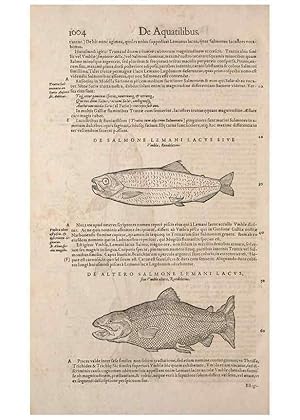 Bild des Verkufers fr Reproduccin/Reproduction 15382797179: Conradi Gesneri medici Tigurini Historiae animalium liber IV :. Francofurti :In Bibliopolio Andreae Cambieri,anno MDCIIII [1604] zum Verkauf von EL BOLETIN