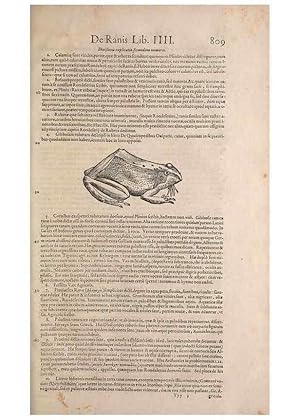 Seller image for Reproduccin/Reproduction 15570076502: Conradi Gesneri medici Tigurini Historiae animalium liber IV :. Francofurti :In Bibliopolio Andreae Cambieri,anno MDCIIII [1604] for sale by EL BOLETIN