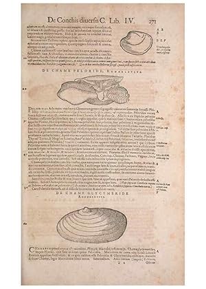 Seller image for Reproduccin/Reproduction 15544888936: Conradi Gesneri medici Tigurini Historiae animalium liber IV :. Francofurti :In Bibliopolio Andreae Cambieri,anno MDCIIII [1604] for sale by EL BOLETIN