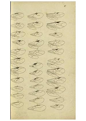 Immagine del venditore per Reproduccin/Reproduction 9784487852: Nomenclator Entomologicus. Regensburg,F. Pustet,1835-40. venduto da EL BOLETIN