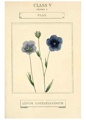 Imagen del vendedor de Reproduccin/Reproduction 9787493792: Elements of the science of botany,. London,Printed by T. Bensley for J. Murray.1812. a la venta por EL BOLETIN