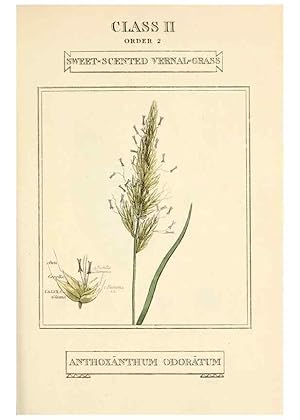 Imagen del vendedor de Reproduccin/Reproduction 9787628964: Elements of the science of botany,. London,Printed by T. Bensley for J. Murray.1812. a la venta por EL BOLETIN