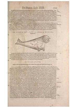 Image du vendeur pour Reproduccin/Reproduction 15570000952: Conradi Gesneri medici Tigurini Historiae animalium liber IV :. Francofurti :In Bibliopolio Andreae Cambieri,anno MDCIIII [1604] mis en vente par EL BOLETIN