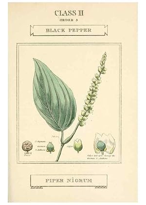 Imagen del vendedor de Reproduccin/Reproduction 9787617325: Elements of the science of botany,. London,Printed by T. Bensley for J. Murray.1812. a la venta por EL BOLETIN